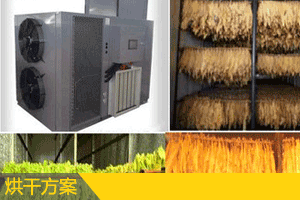 ���ݺ�ɽ�Q����